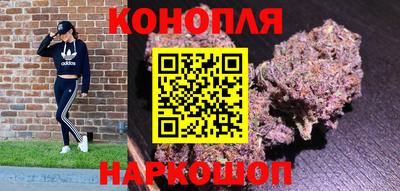 прущие крисы Кингисепп
