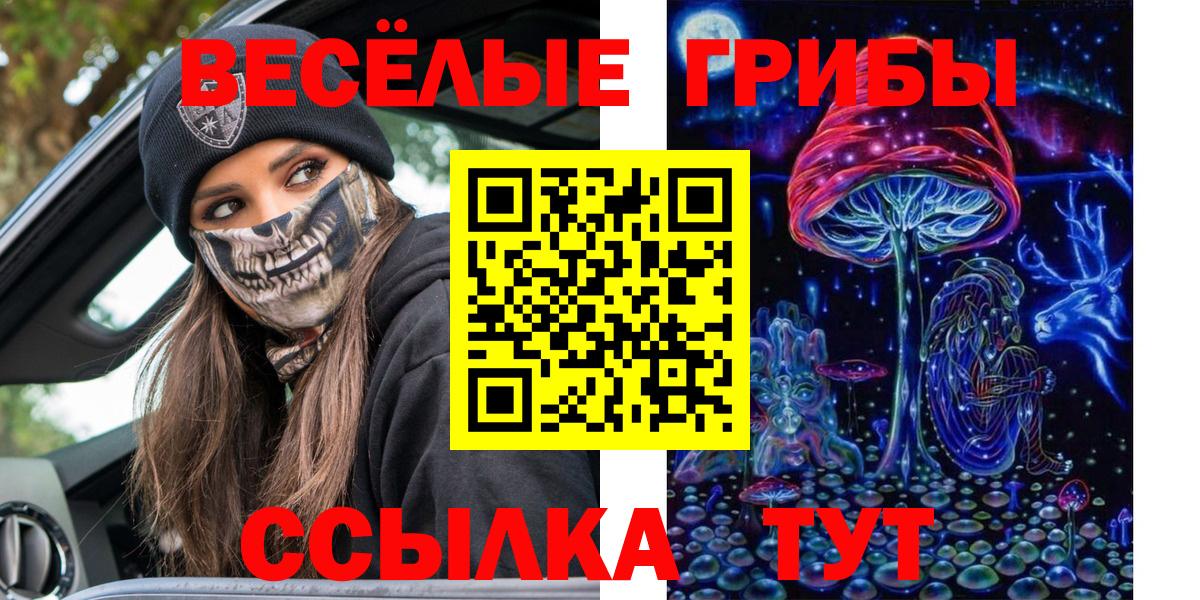 Галлюциногенные грибы прущие грибы  Вход с VPN  Кубинка 